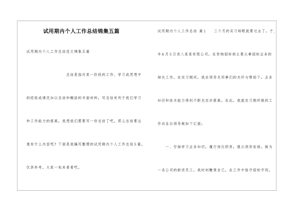 试用期内个人工作总结锦集五篇_第1页