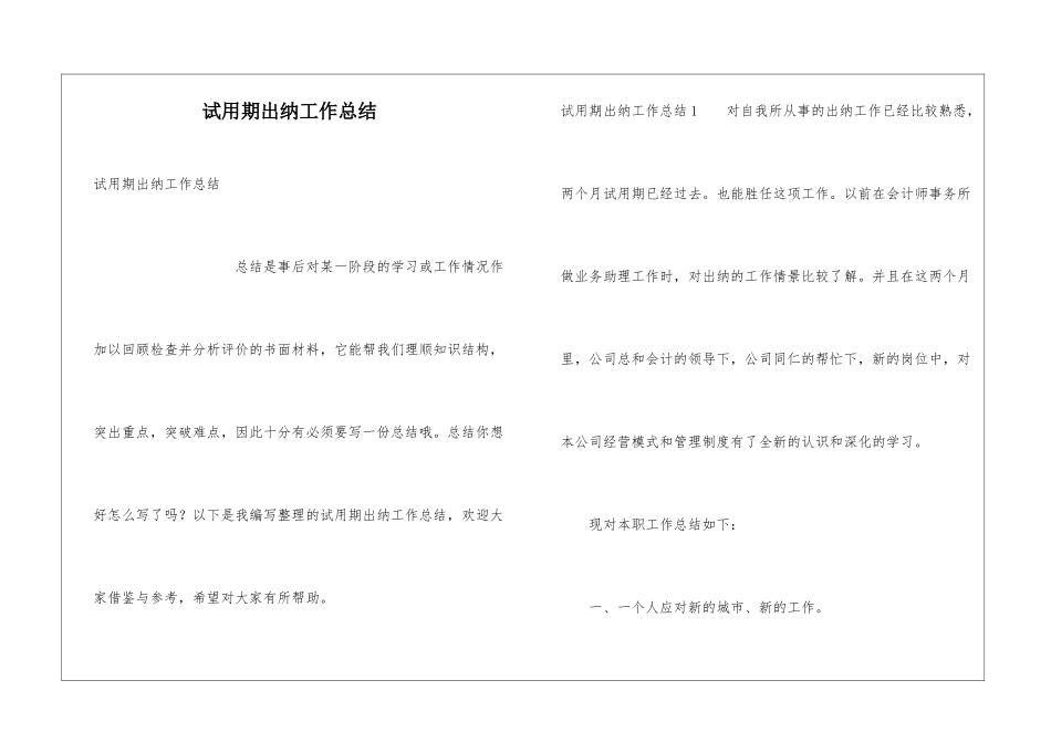 试用期出纳工作总结_第1页