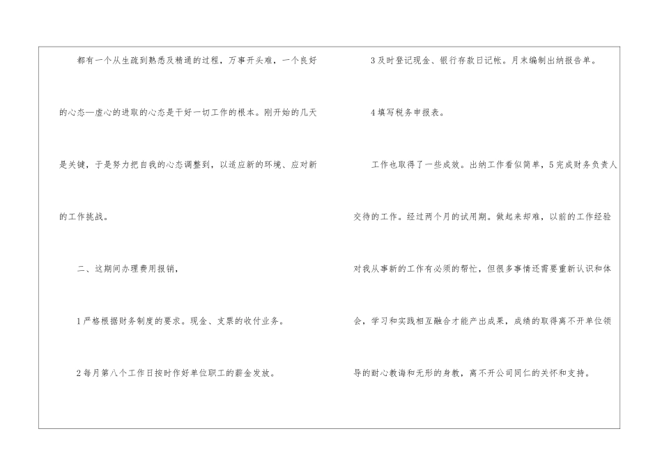 试用期出纳工作总结_第2页