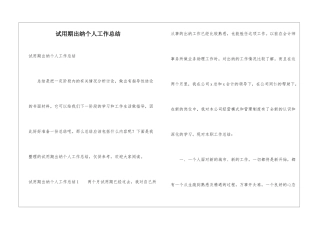 试用期出纳个人工作总结