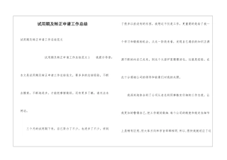 试用期及转正申请工作总结