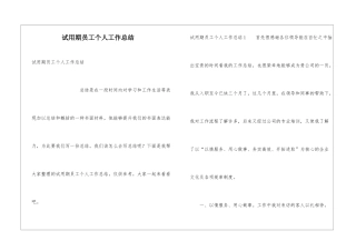 试用期员工个人工作总结