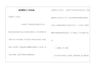 试用期员工工作总结