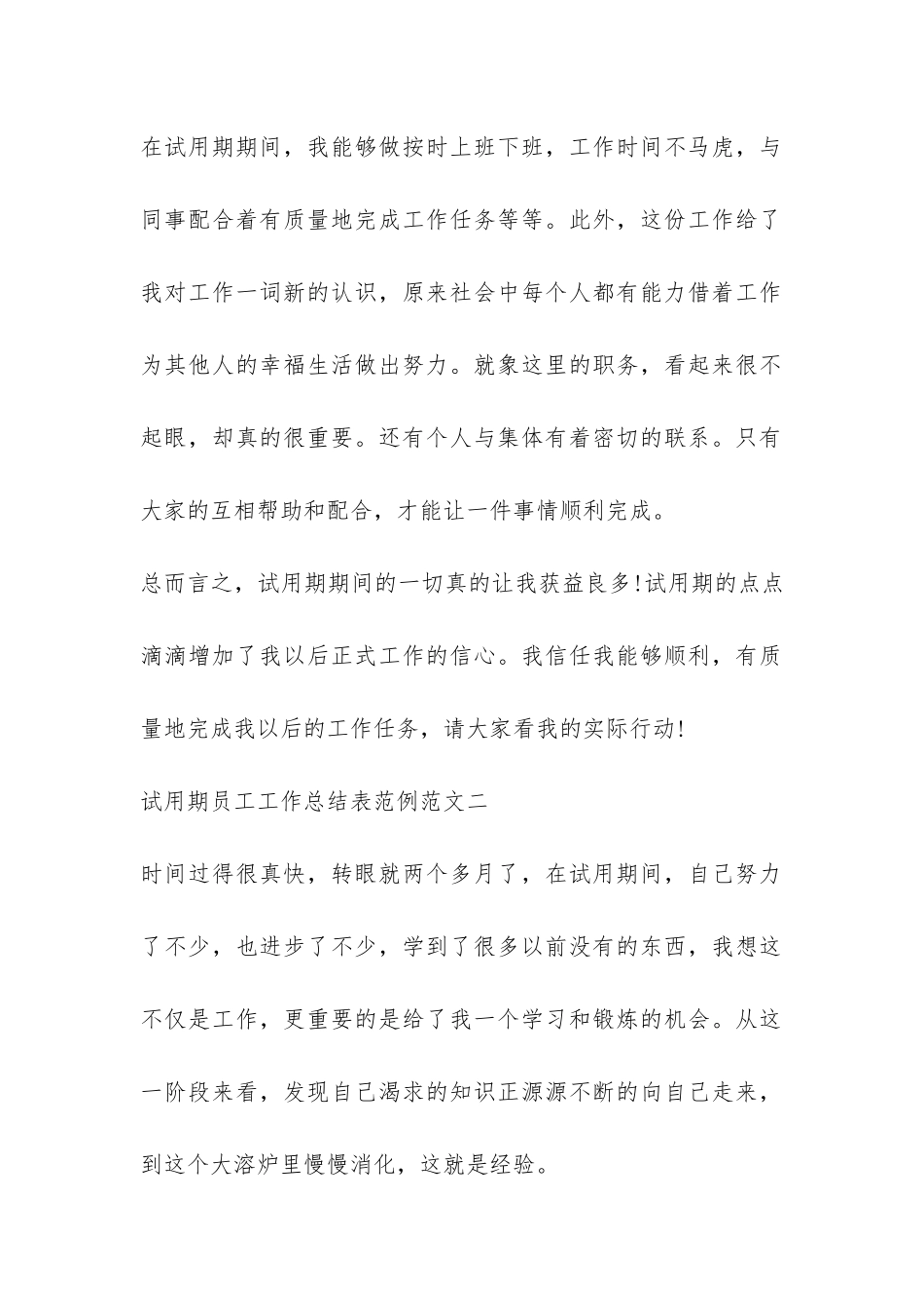 试用期员工工作总结表范例-_第2页