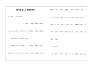 试用期员工工作总结模板