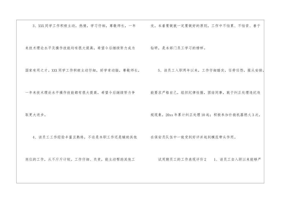 试用期员工的工作表现评价_第2页
