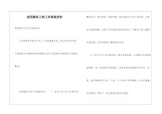 试用期员工的工作表现评价