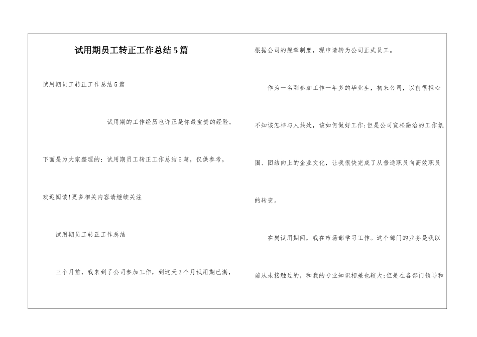 试用期员工转正工作总结5篇_第1页