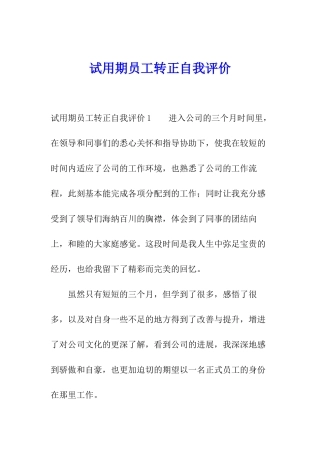 试用期员工转正自我评价