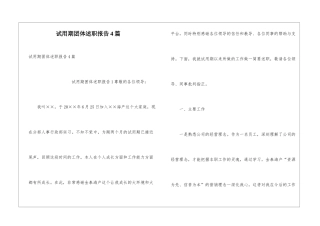 试用期团体述职报告4篇