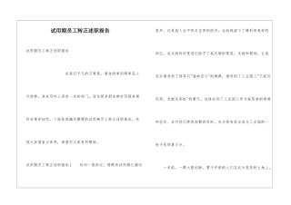 试用期员工转正述职报告