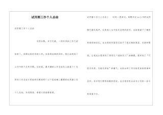 试用期工作个人总结