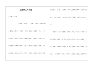试用期工作小结