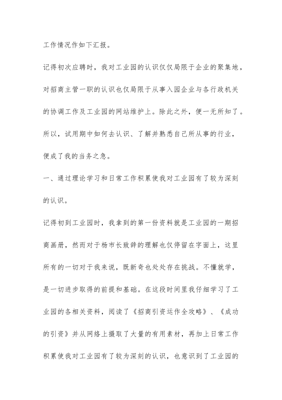 试用期工作总结-_第2页