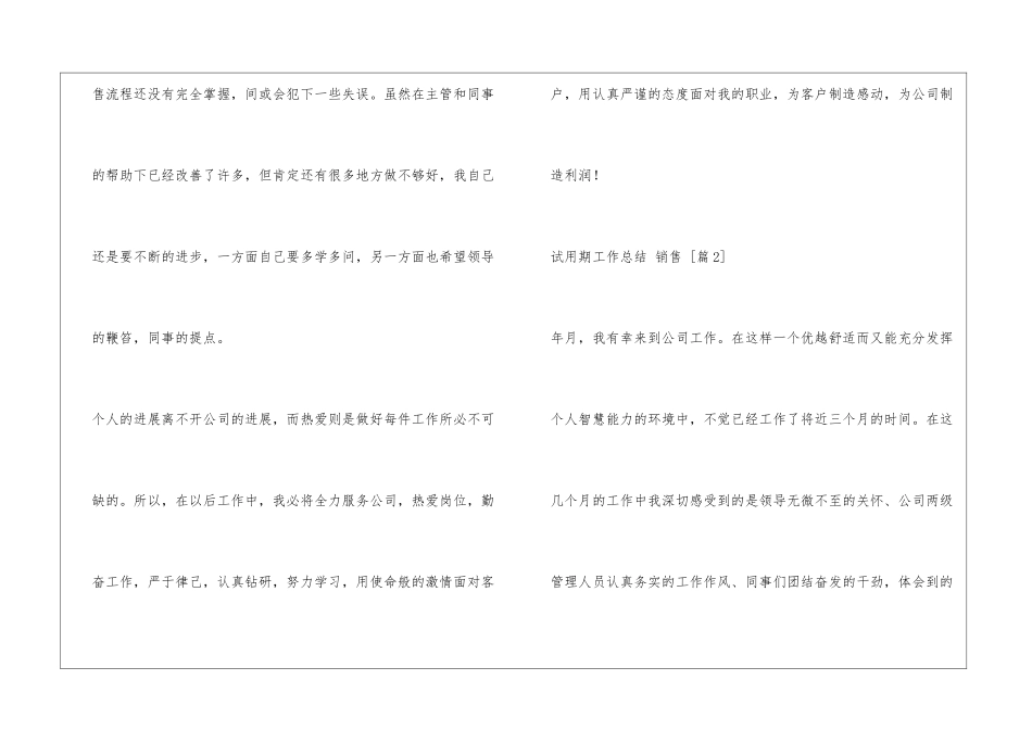 试用期工作总结-销售_第2页