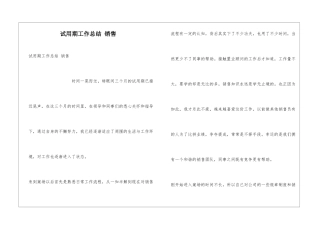 试用期工作总结-销售