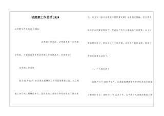 试用期工作总结2024
