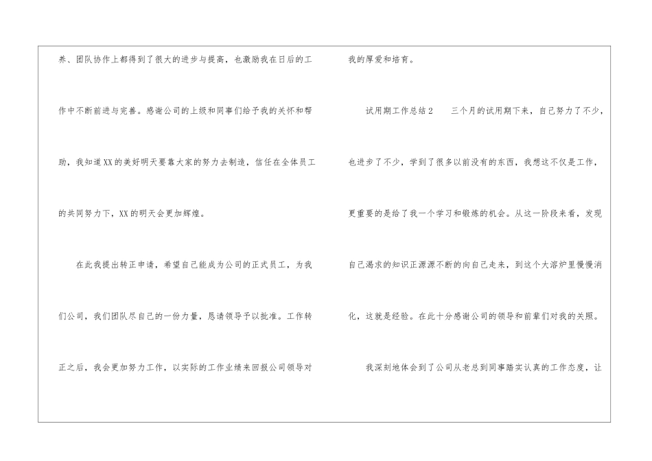 试用期工作总结3篇_第3页