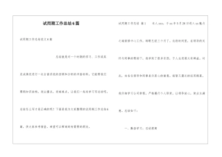 试用期工作总结6篇