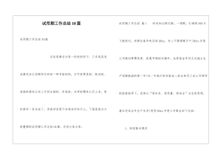 试用期工作总结10篇