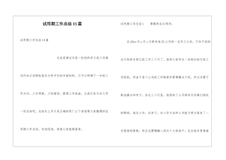 试用期工作总结15篇