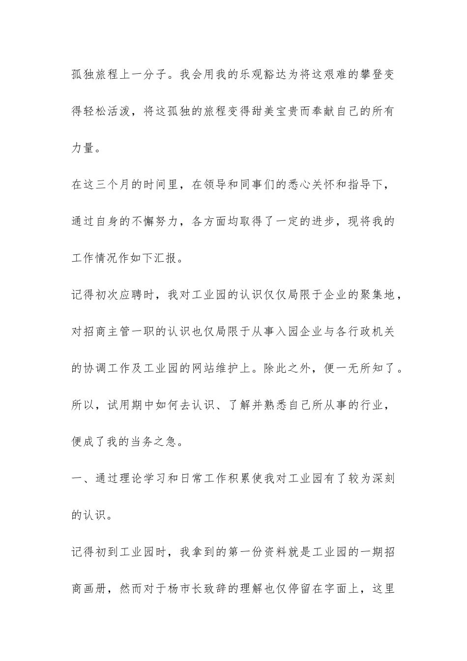 试用期工作总结3篇-_第2页