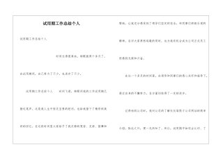 试用期工作总结个人