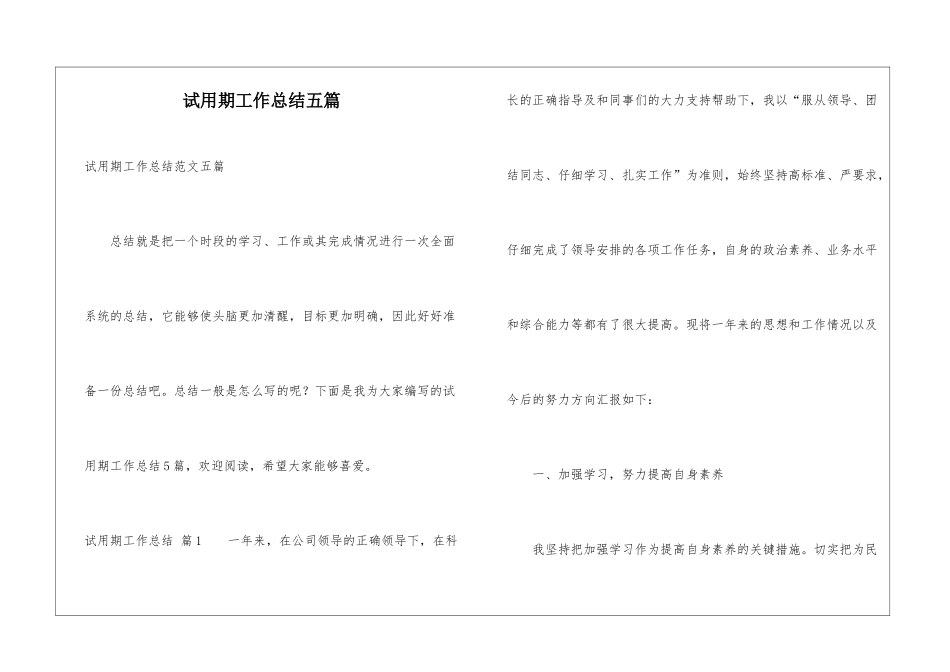 试用期工作总结五篇_第1页