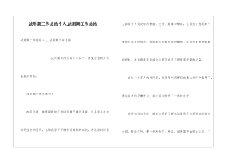 试用期工作总结个人-试用期工作总结