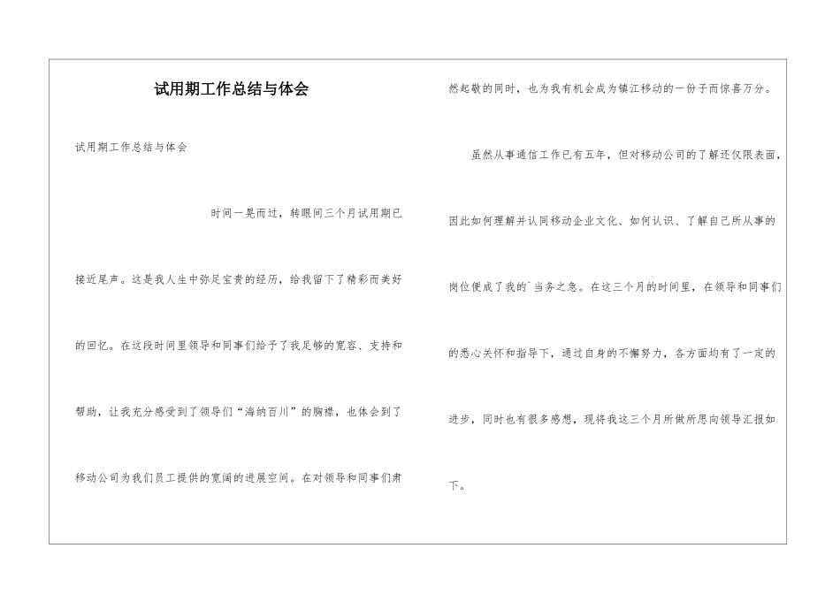 试用期工作总结与体会_第1页