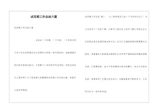 试用期工作总结六篇