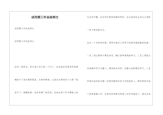 试用期工作总结例文