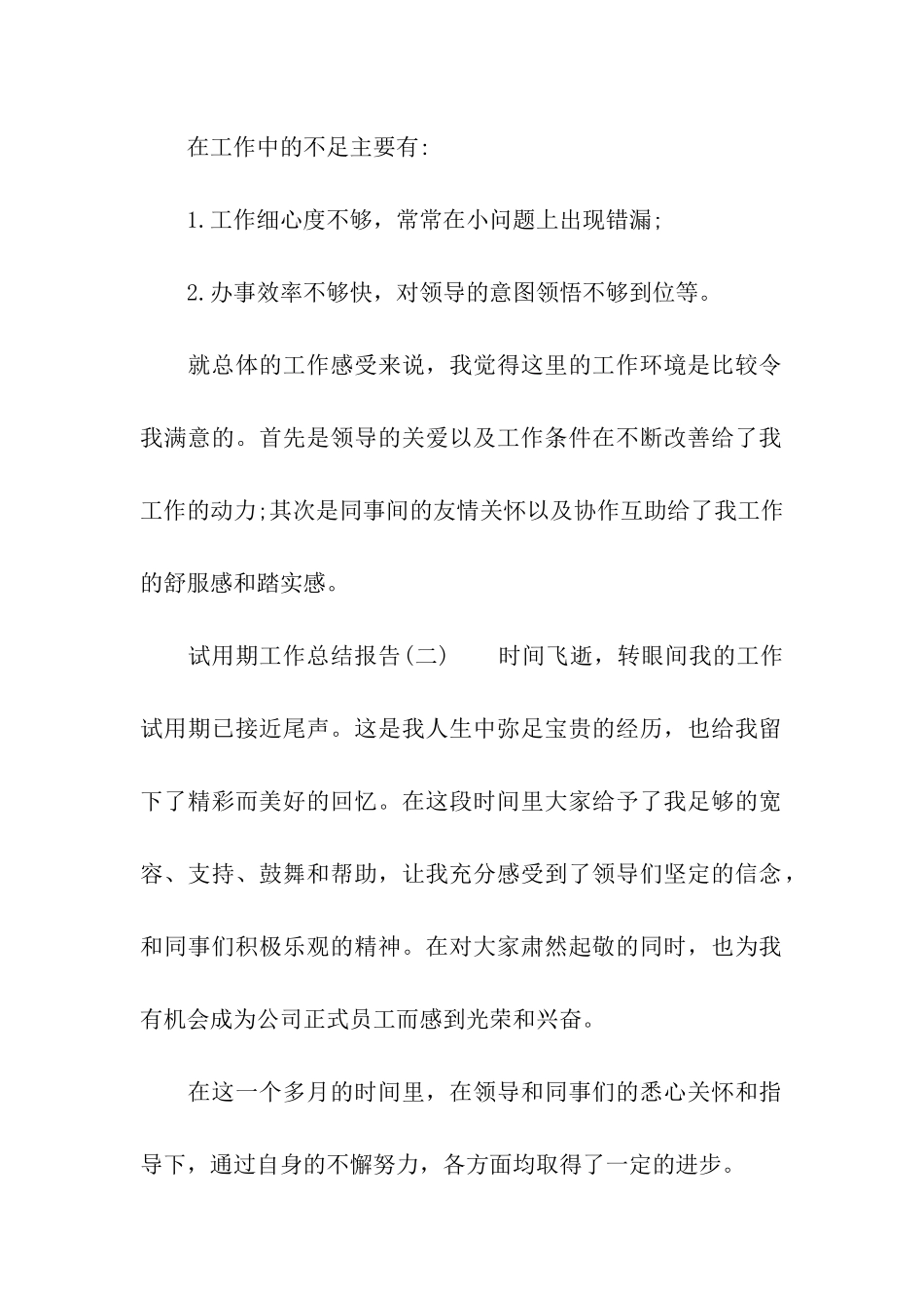 试用期工作总结报告_第2页