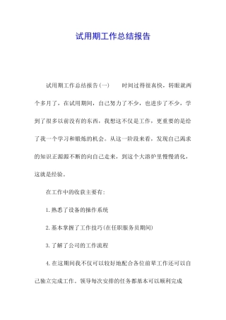 试用期工作总结报告