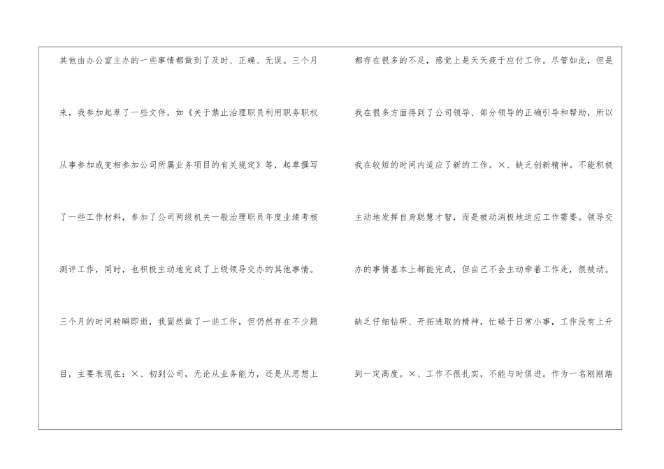 试用期工作总结格式_第3页