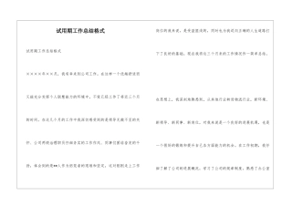 试用期工作总结格式