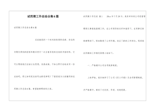 试用期工作总结合集6篇