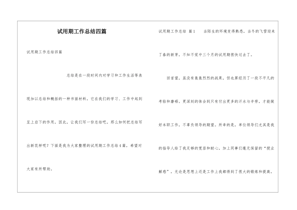 试用期工作总结四篇_第1页