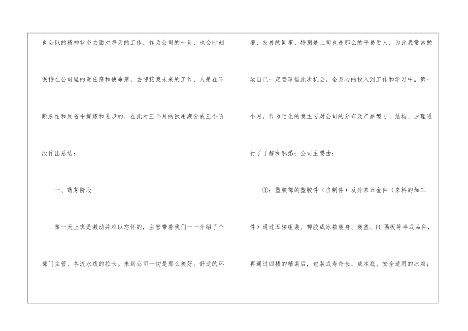 试用期工作总结模板5篇_第2页