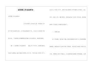 试用期工作总结样本