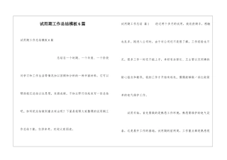 试用期工作总结模板6篇