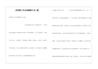 试用期工作总结模板汇总5篇