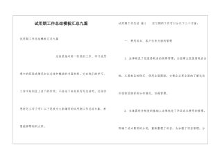 试用期工作总结模板汇总九篇