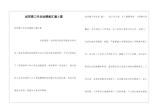 试用期工作总结模板汇编5篇