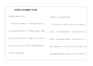 试用期工作总结模板汇总六篇