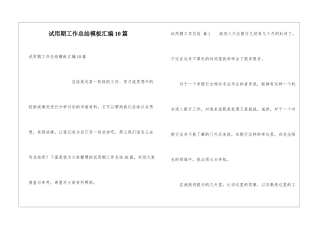 试用期工作总结模板汇编10篇