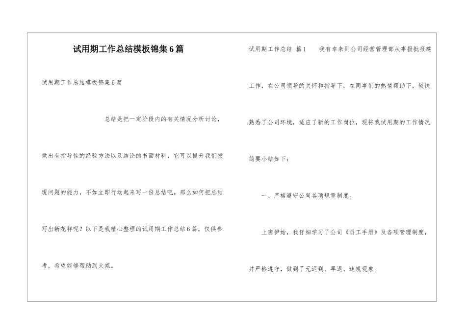 试用期工作总结模板锦集6篇_第1页