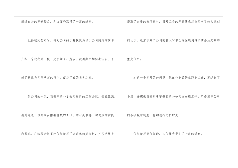 试用期工作总结模板集合5篇_第2页