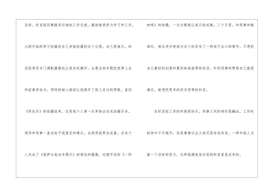 试用期工作总结模板锦集5篇_第2页