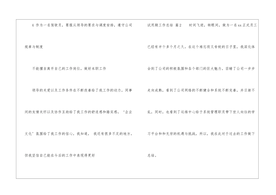 试用期工作总结模板锦集10篇_第3页